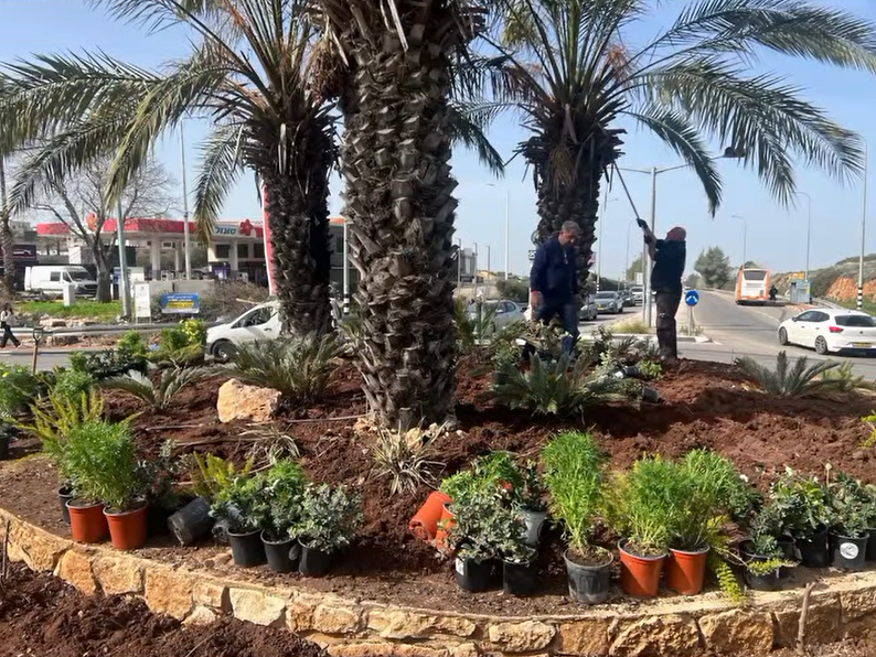 مجلس كوكب ابو الهيجاء